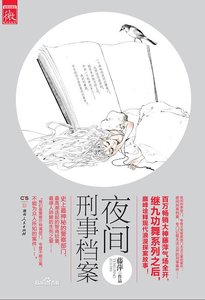 夜間刑事檔案