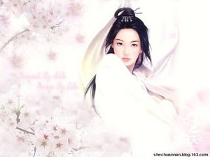 過氣王妃有人追