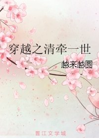 《穿越之清牵一世》