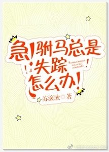 《急!駙馬總是失蹤怎麼辦!》