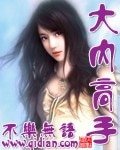 《大内高手》