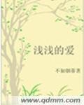 浅浅的爱