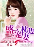 盛寵枕邊妻