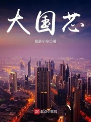 《大国芯》