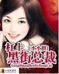 杠上黑街总裁
