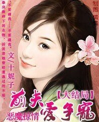 恶魔掠情:前夫爱争宠