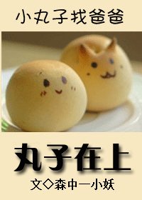 丸子在上/团长在上