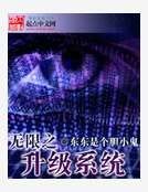 無限之升級系統