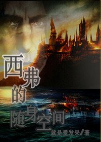 (HP同人/BL)西弗的随身空间
