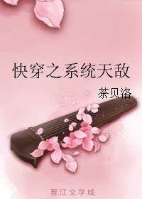 《永穿之系统天敌》