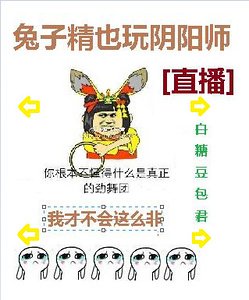 兔子精也烷捞阳师