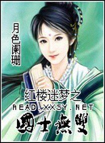(红楼同人)红楼迷梦之国士无双
