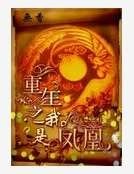 《重生之我是鳳凰》