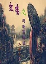 (紅樓同人)紅樓之近距離圍觀