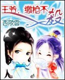王爷,缴枪不杀