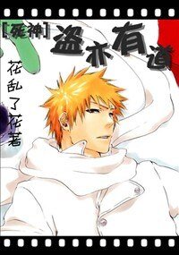 (死神同人)盗亦有道