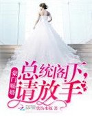 豪門暖婚:總統閣下,請放手