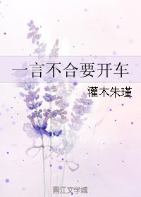 一言不合要開車