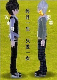 《终其一生,只爱一次》