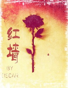 (网王同人)网王之红墙