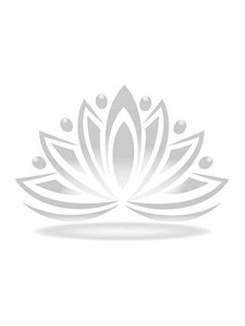 《一撩成瘾》