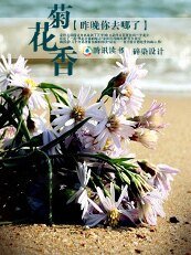 驹花巷