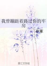 我曾蹦跶着路过你的牢坊