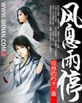 风息雨停