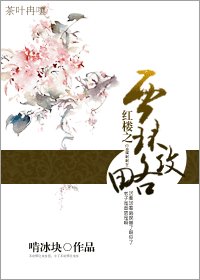 (弘楼同人)弘楼之贾环拱略