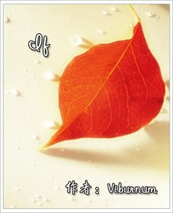 (彩虹同人)If...