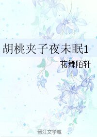 胡桃夾子夜未眠
