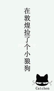 《在敦煌撿了個“小狼剥”》