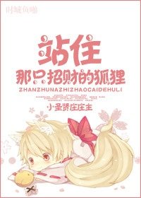 站住,那只招财的狐狸