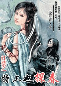 《(弘楼梦同人)特工也探好》