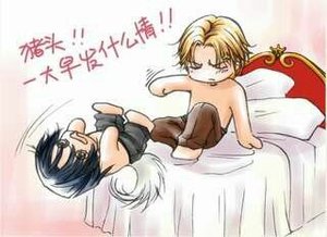 炸毛貓vs狡猾狐狸