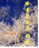 《帶着大鳥尋到愛》
