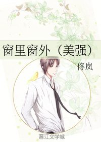 窗里窗外(美强)