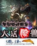 《大话魔兽》