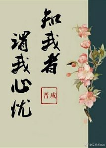 知我者谓我心忧
