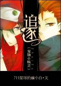 (宠物小精灵同人/BL)追逐