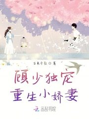 顧少獨寵重生小嬌妻