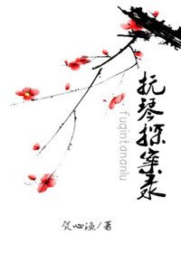 甫琴探案錄