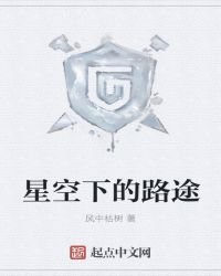 星空下的路途