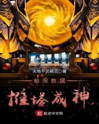 《极限数据推塔成神》
