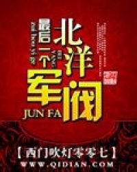 《最後一個北洋軍閥》