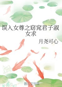 誤入女尊之窈窕君子淑女求