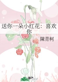 送你一朵小红花:喜欢你