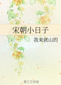宋朝小日子