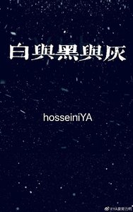 白與黑與灰