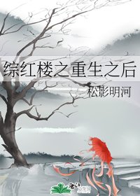 (BG/綜同人)綜紅樓之重生之後